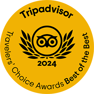 Tripadvisor Travelers Choice Best of the Best 2024 - Veda5 Rishikesh Kerala Goa Ayurveda Yoga Retreats India